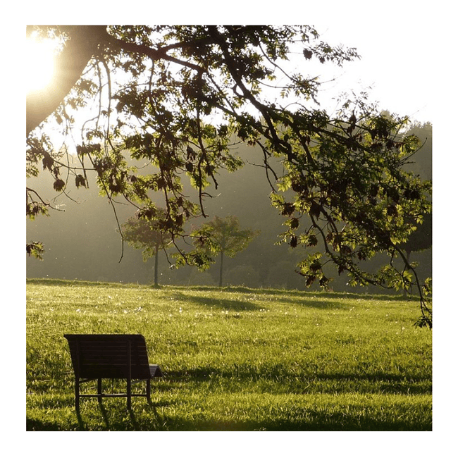 Instandhaltung in  Mossautal